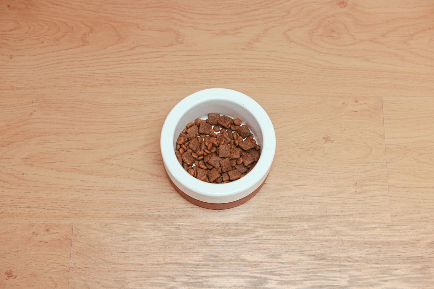 A bowl of dry dog food on a wooden floor