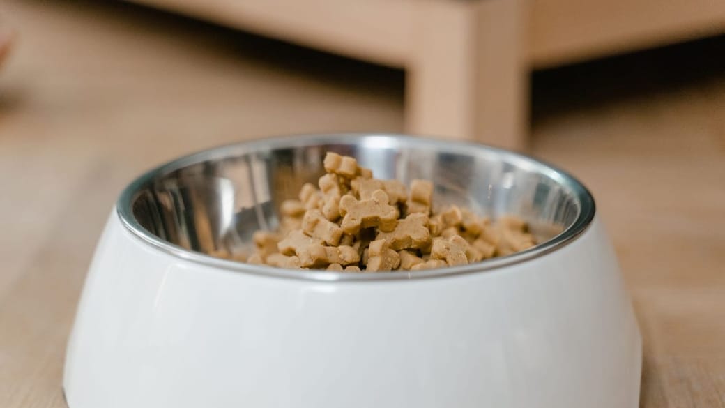 A bowl of dry puppy food on a wooden floor