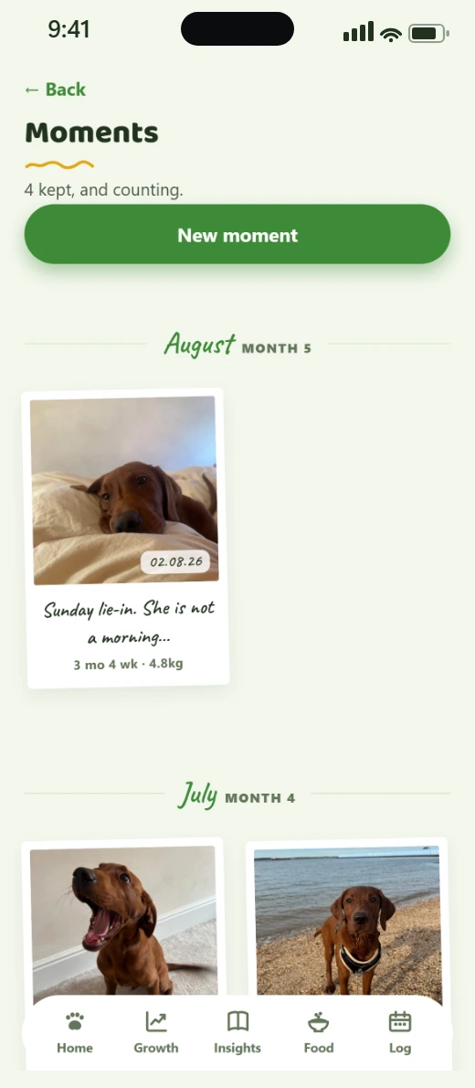 Vivlo's Moments screen: a scrapbook of dated Polaroid-style memories with handwritten captions, real photos an owner kept along the way.